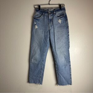 Zara Denim Pants Jeans Women Grupo Inditex Size 2
